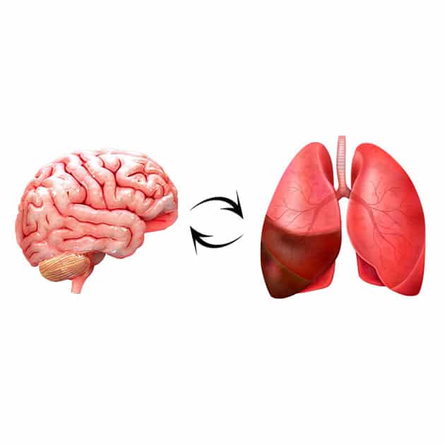 Optimise your breathing